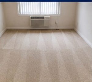 Apartment move-out carpet cleaning