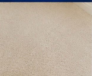 Pet Accident & Odor after treatment