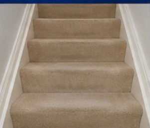 Carpeted Staircase after treatment