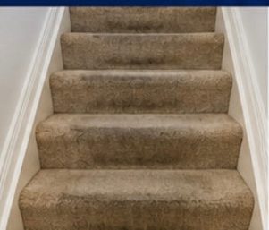 Carpeted Staircase before treatment