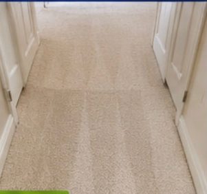 Hallway Traffic Lane after treatment