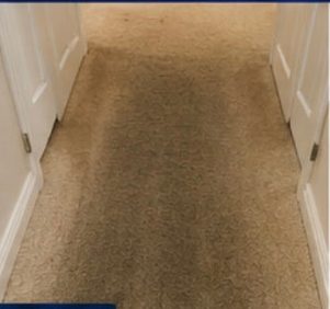 Hallway Traffic Lane before treatment