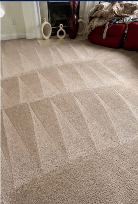 Living Room Carpet after treatment