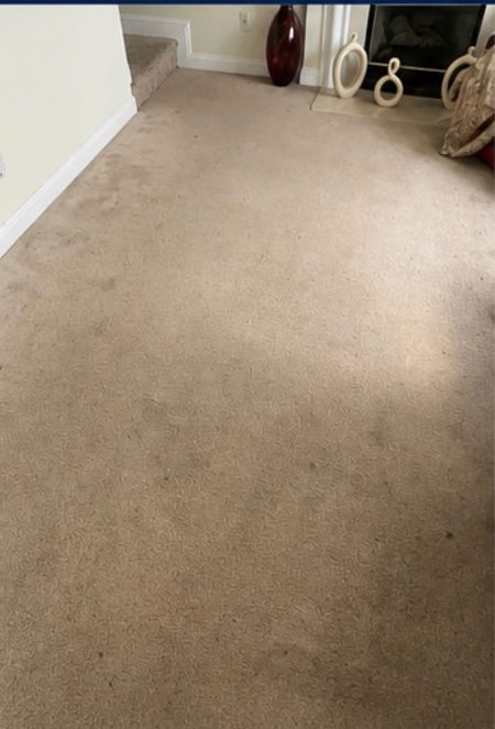 Living Room Carpet before treatment